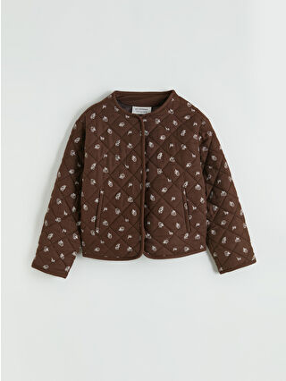 Kahverengi Baskılı