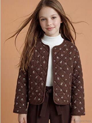 Kahverengi Baskılı