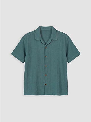 Dull Green