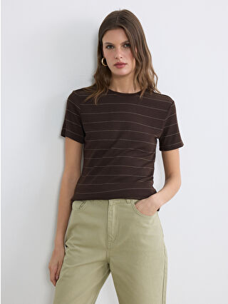 Kahverengi Çizgili