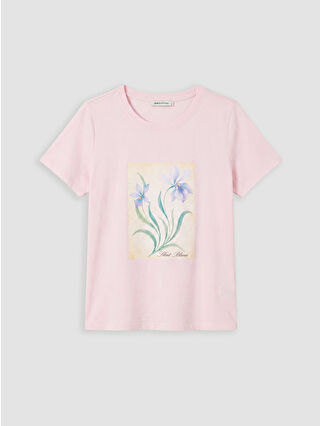 Pembe Leylak