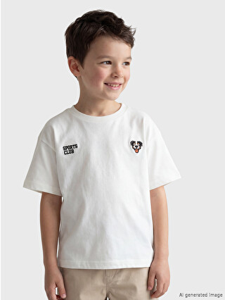 LCW Kids Bisiklet Yaka Nakışlı Erkek Çocuk Tişört - S6Q920Z1-R9J