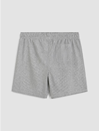LCW SWIMWEAR Siyah Mikrofiber Çizgili Erkek Yüzme Şort - S6R667Z8