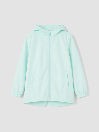 Verde Aqua Pal