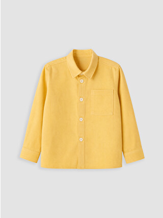 Dull Yellow