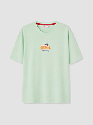 Pastel Yeşil