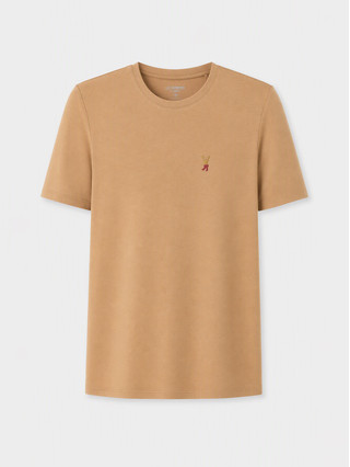 Camel