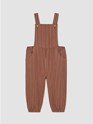 Brown Striped