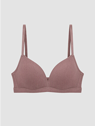 Dusty Rose