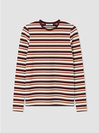Light Bordeaux Striped