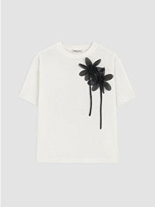 Ekru