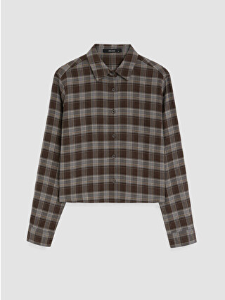 Brown Checked