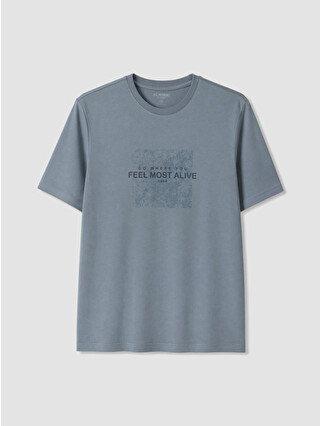 Dull Blue