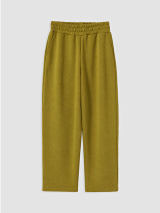 Dark Olive Green