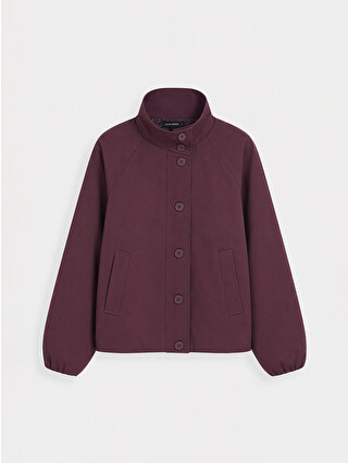 Bordo