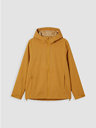 Dark Yellow
