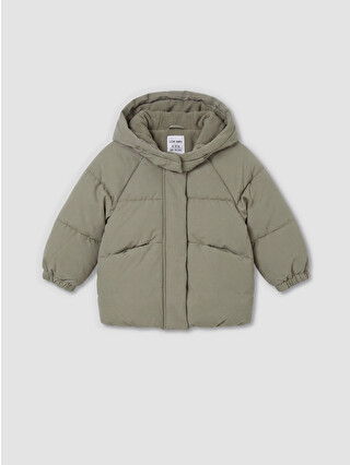 Dull Green