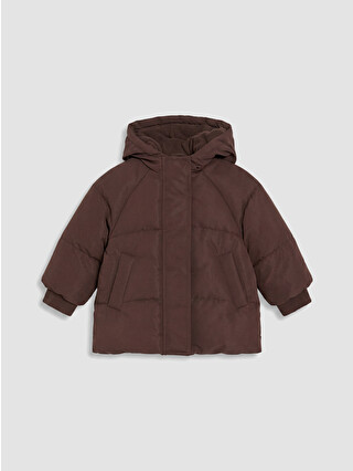 Chocolate Brown