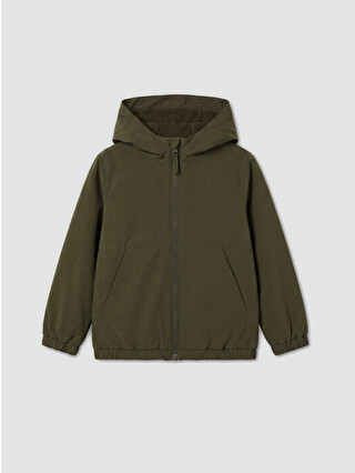 Dull Khaki