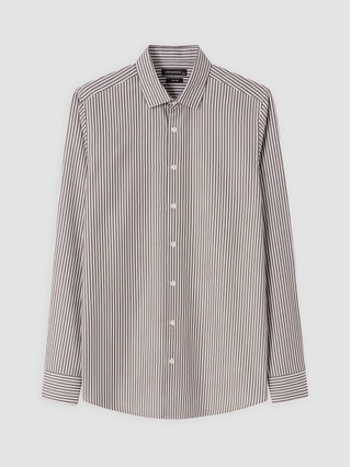 Dark Brown Striped