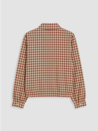 Brown Checked