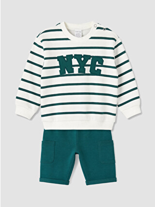 أخضر مخطط