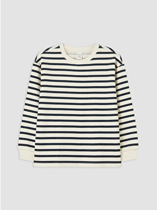 Anthracite Striped