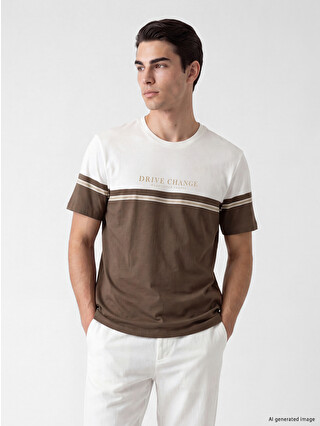 Brown Striped
