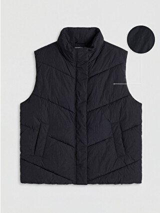 New Black