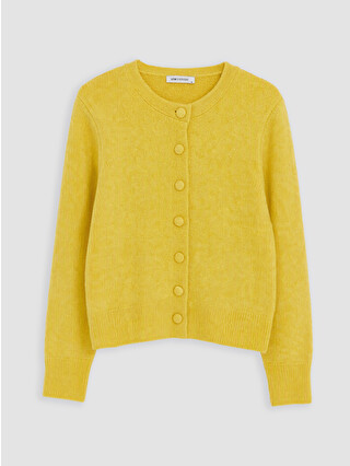 Dull Yellow