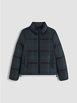 Navy Checked