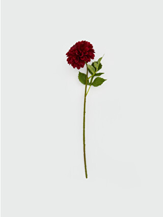 Dark Red Printed