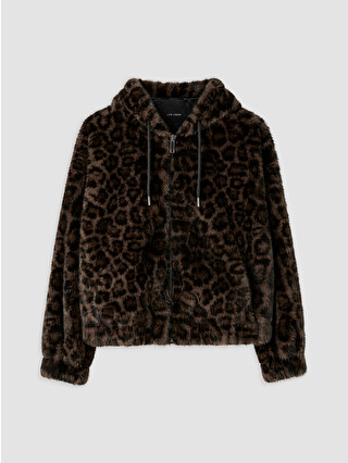 Brown Printed