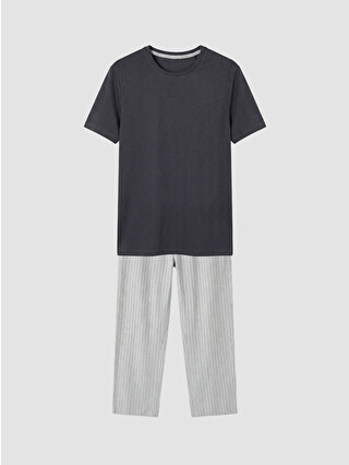 Grey Striped