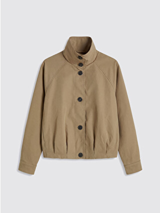 Beige Clair