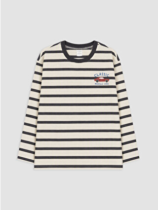 Anthracite Striped