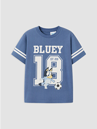 Dull Blue
