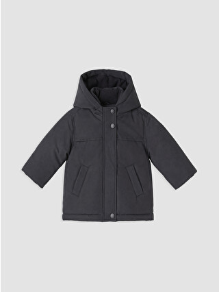 Anthracite