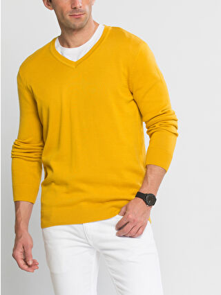Ochre Yellow