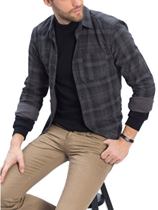 Black-Light Purple-Light Green