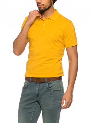 Dark Yellow