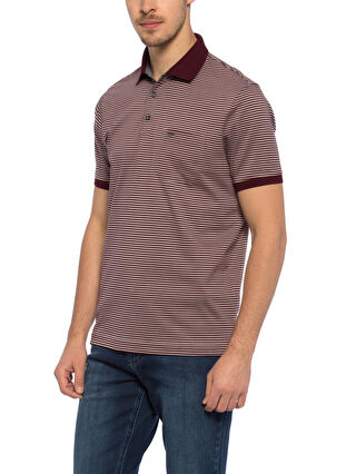 White-Light Grey-Purple