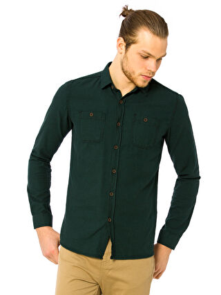 لون أخضر زيتوني فاتح