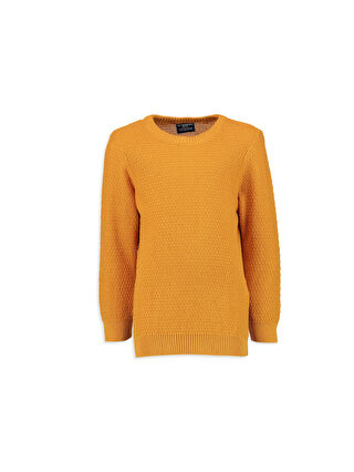 Dark Yellow