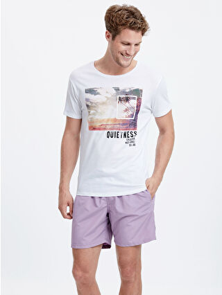 Dull Lilac