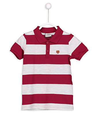 White-Light Grey-Purple