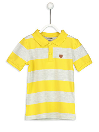 Yellow Striped