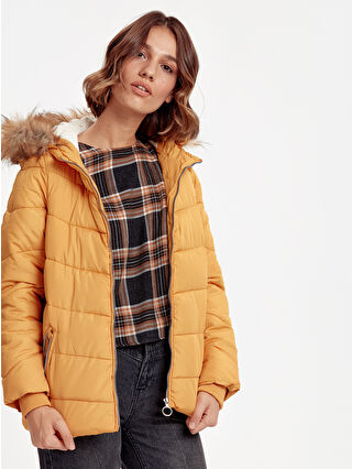 Ochre