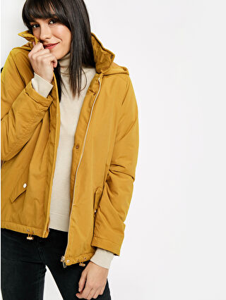 Ochre