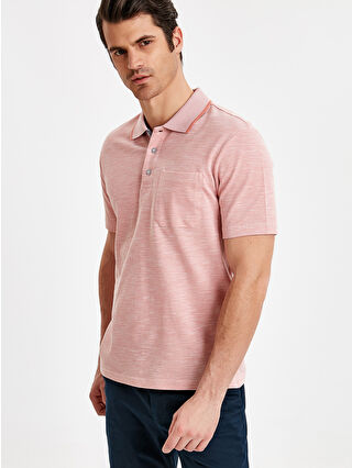 Dusty Rose